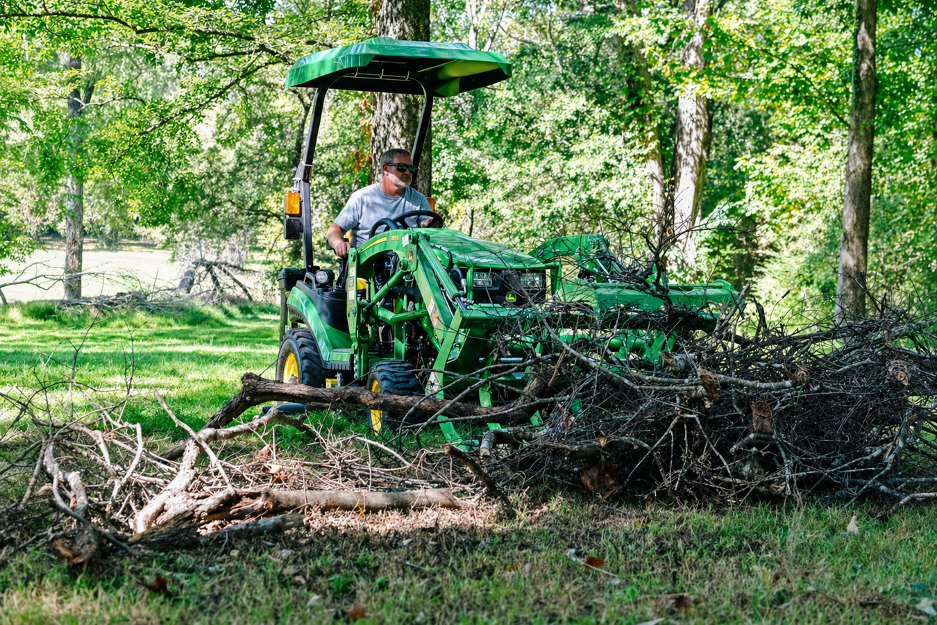Tree service in Imperial, CA - Direct Imperial Tree Services