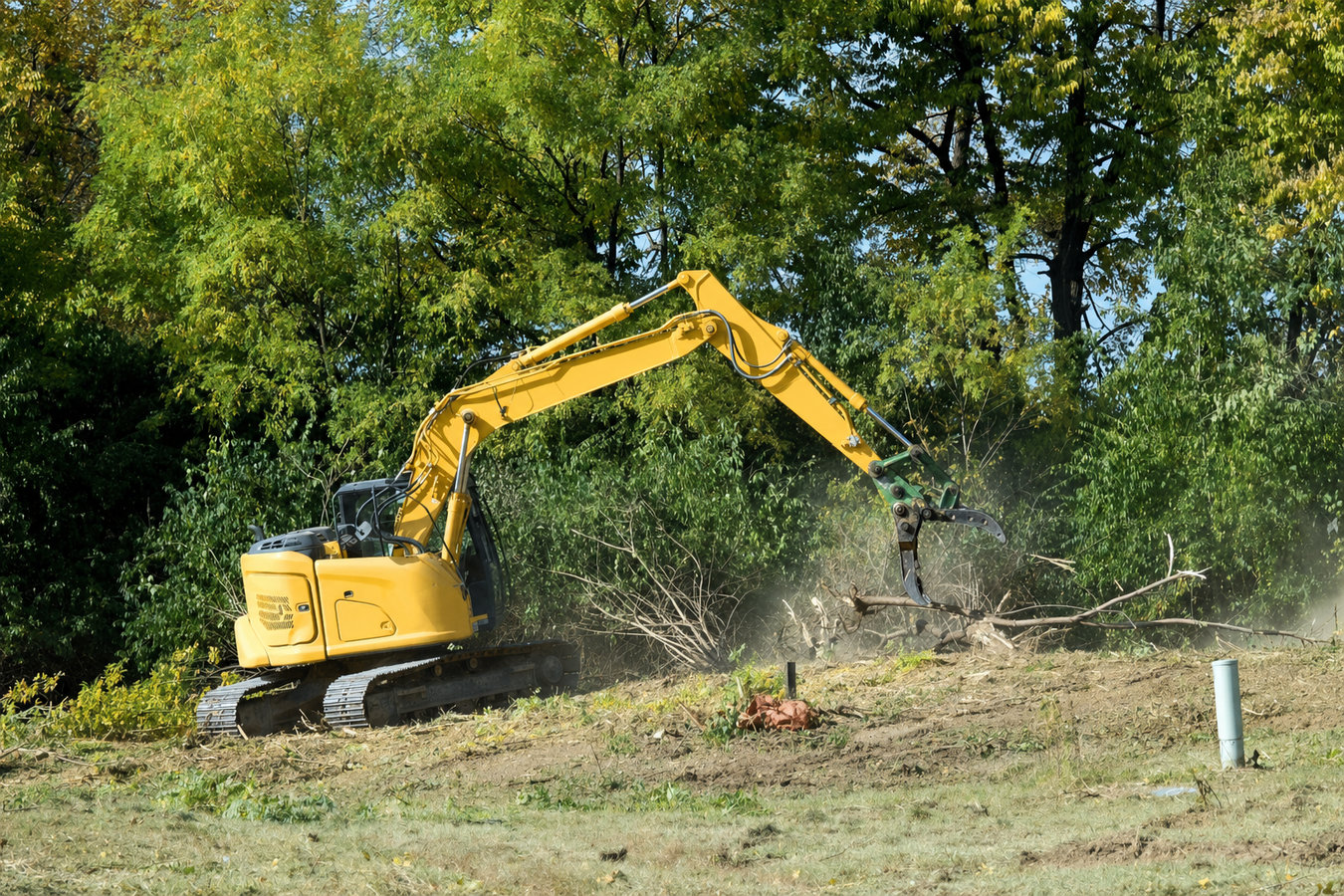 Land clearing
